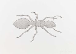 Peter Kogler (1959 Innsbruck – lebt in Wien)