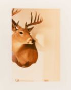 William Eggleston (1939 in Memphis – lebt in Memphis)