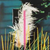 John Baldessari (1931 National City, CA - Venice, CA 2020)