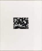 Isa Genzken (1948 Bad Oldesloe – lebt in Berlin)