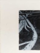 Emma Stibbon (1962 Münster – lebt in Bristol)