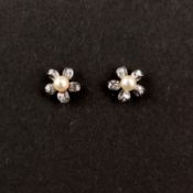 Paar Perl-Diamant-Stecker, 585/14K Weißgold (punziert), 1,63g, blütenförmige Schauseite mit einer m