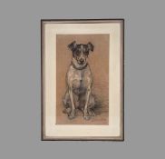 WILLE, Fritz von: Sitzender Hund