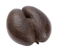 A large Coco-De-Mer, 33.5cm long.