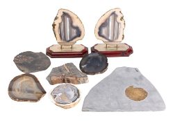 A small collection of polished agate specimens,
