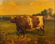 Joseph Francis Walker (fl. c.1865-1890) Short Horn Bull signed bottom centre oil on canvas 50 x 64.