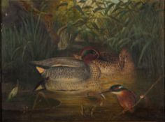 Edward Neale (British, fl.