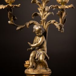 Winter  Sale - 17th & 18th January 2023