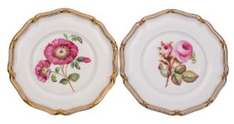 A pair of Davenport porcelain botanical plates painted with 'Calanarinia Discolor' and a pink rose