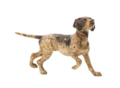 An Austrian cold painted bronze model of a hunting dog, 12.5cm long.