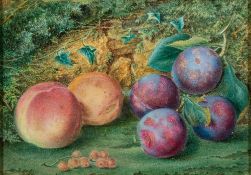 English School (mid-19th century) A fruit still life with grapes and plums,