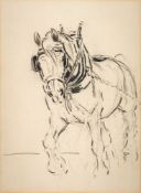 * Lionel Edwards (British, 1874-1954) Major; study of a horse pencil drawing 19 x 14cm.