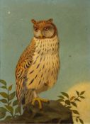 Henry Stacy Marks RA (British, 1829-1898) Long Eared Owl signed with initials bottom left,