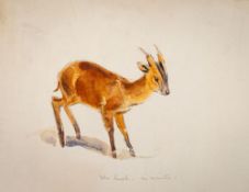 * Eileen Soper (British,