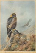 After Archibald Thorburn (Scottish, 1860-1935) Birds of prey in a rocky landscape,