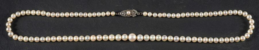 A graduated necklace of cultured pearls, the pearls of white hue with pink overtones,