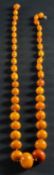 A graduated, amber bead necklace, the clasp stamped '9K', diameter of beads ca. 8.5-23.
