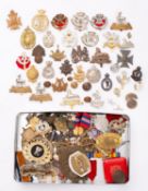 A collection of various Regimental cap and other badges, including Cornwall Light Infantry,