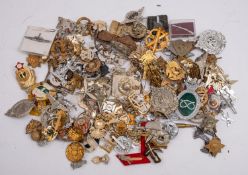 A quantity of various British and world regimental cap badges and insignia.
