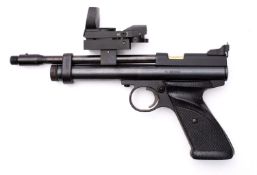 A Crossman Model 2240 .