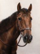 Pauline Edwards Study of a horse's head, 1987 signed and dated lower left pastel on paper,