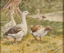 May Nicolson (early 20th century school) Geese on a riverbank signed and dated lower
