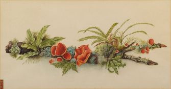 British School (19th century) Still life of a tree branch with lichen,