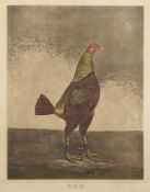Charles Turner after Ben Marshall (British,