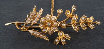 An Edwardian, 9ct gold, seed pearl spray brooch, with hallmarks for Chester, 1910, total length ca.
