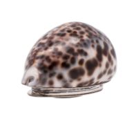 A George III silver mounted cowrie shell snuff box, Edinburgh hallmark, maker R.H.