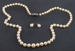 A graduated, single-strand, cultured pearl necklace,