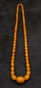 A Baltic amber bead necklace, length of beads ca. 11.8-33.3mms, length of necklace ca.