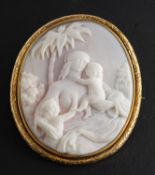 An 'Angel skin' coral cameo brooch,