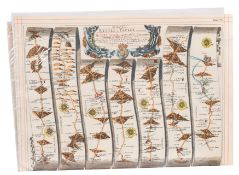 KIP, William - Warwici [Warwickshire] : hand coloured map. 350 x 290 mm. f & G. c1637.