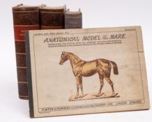 GENERAL STUD BOOK - Containing Pedigrees of Race horses, vol.
