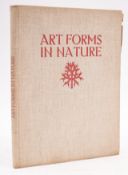 BLOSSFELDT,Professor - 96 plates. Org. buckram with the remains of the dust wrapper. Folio. A.