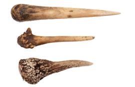 A bone fid,