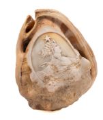 A late 19th century cameo carved conch shell: with a portrait of Liberty, 12cm long.