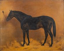 *Alfred Grenfell Haigh (British, 1870-1963) Macheath - Portrait of a racehorse,