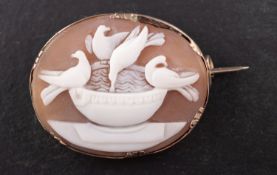 A shell cameo depicting Pliny's doves, probably 19th century length of brooch ca. 3.