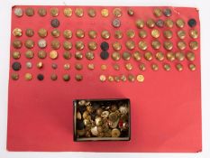 A collection of various British Army buttons and collar badges, including The Parachute Regiment,