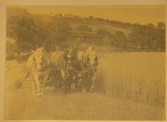 A folio of mid 20th century photographs of Devon and its environs, including;- Goodrington, Brixham,