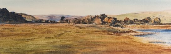 *Brian Irving (British, b. 1931) Wetlands Landscape Watercolour 16.