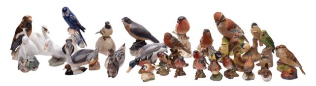 A collection of thirty-five English and Continental porcelain models of birds and a squirrel