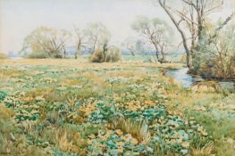 Bernard Cecil Gotch (British,