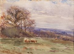 Arthur Henry Enock (British, 1828-1917) On Ramsley Hill, Ogwell Watercolour 18 x 24.