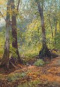 Frederick John Widgery (British, 1861-1942) Mamhead Woods, Exeter Watercolour 34 x 23.