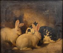British School, 19th Century Study of Rabbits Oil on canvas 42.5 x 49.