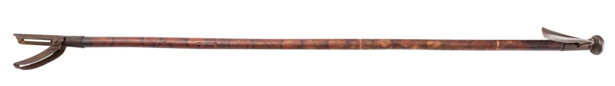 A late 19th/early 20th century book grab; with bamboo shaft;