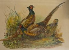 Doris E Luxton (British,